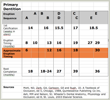 Primary Dentition Development.png